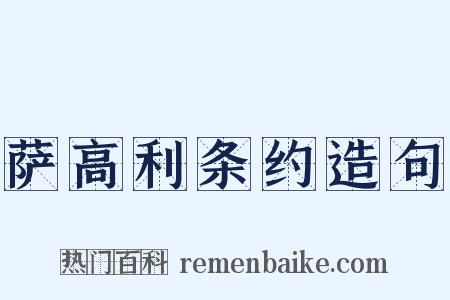 萨高利条约造句是什么意思的图片